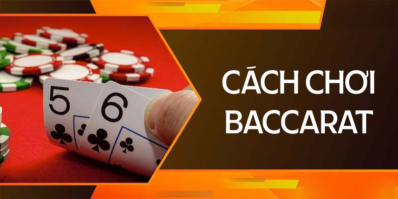 Baccarat: Hướng Dẫn Chơi Cơ Bản tại VN88